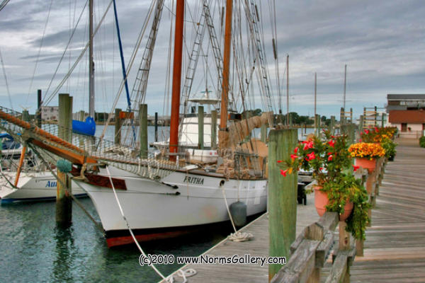Fritha at Beaufort, NC (c)2017 www.NormsGallery.com